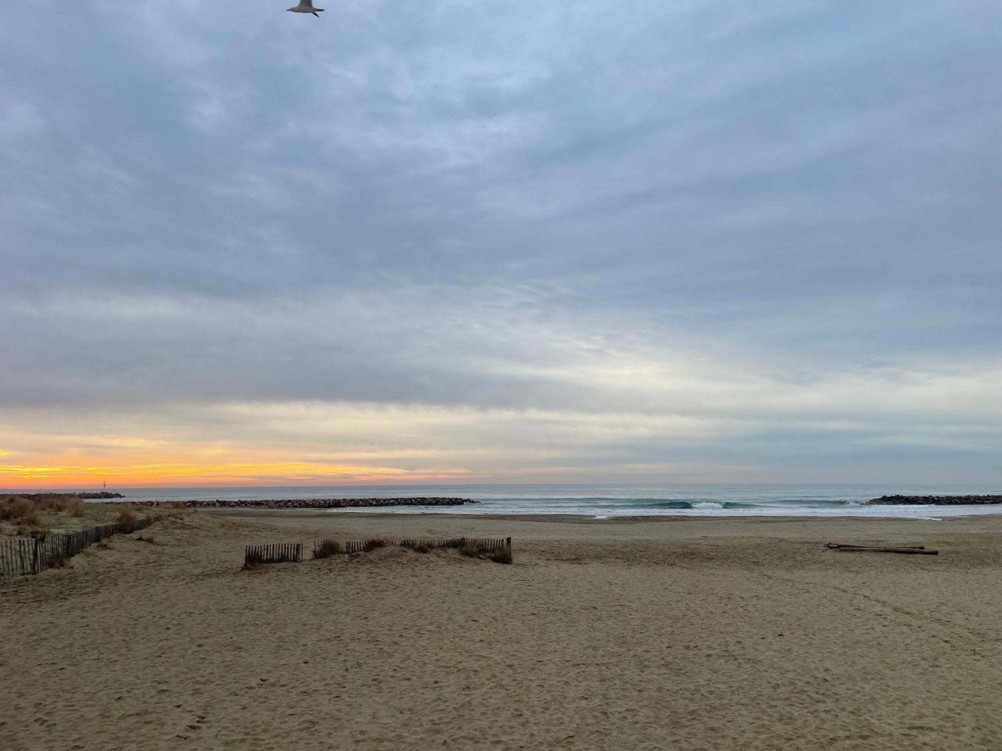 Plages & Marina - Joli T2 A 200M Des Plages Sete Ngoại thất bức ảnh